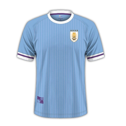 MAILLOT URUGUAY DOMICILE 2024
