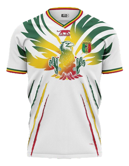 MAILLOT MALI DOMICILE 2024